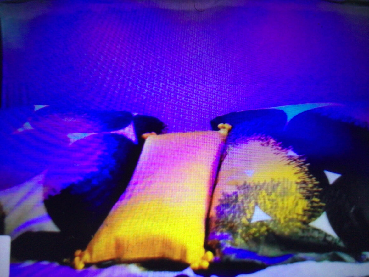photos.couch